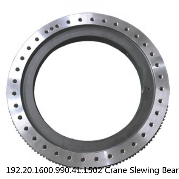 192.20.1600.990.41.1502 Crane Slewing Bearing