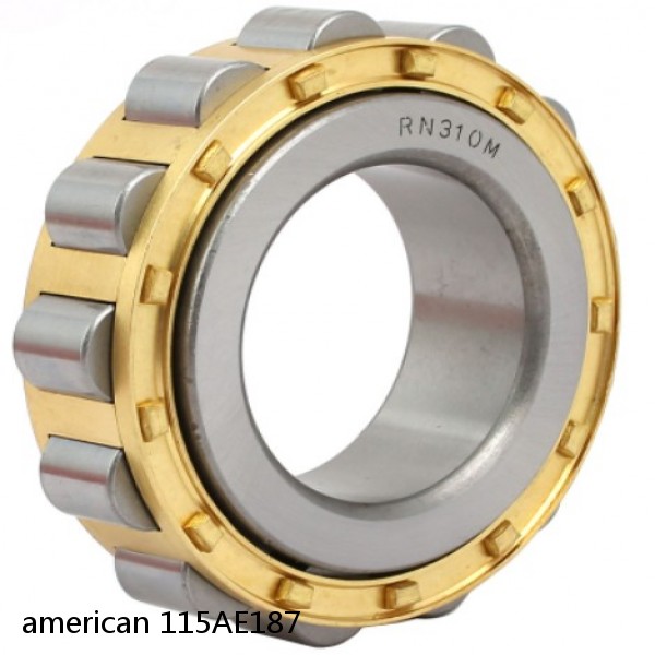 american 115AE187 SINGLE ROW CYLINDRICAL ROLLER BEARING