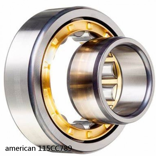 american 115CC789 SINGLE ROW CYLINDRICAL ROLLER BEARING