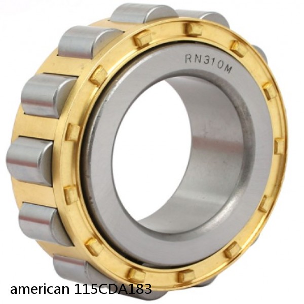 american 115CDA183 SINGLE ROW CYLINDRICAL ROLLER BEARING