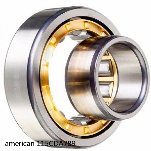 american 115CDA789 SINGLE ROW CYLINDRICAL ROLLER BEARING