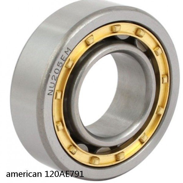 american 120AE791 SINGLE ROW CYLINDRICAL ROLLER BEARING