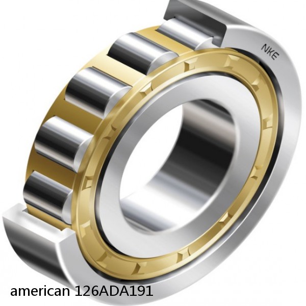 american 126ADA191 SINGLE ROW CYLINDRICAL ROLLER BEARING