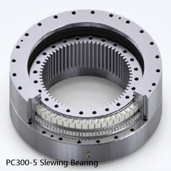 PC300-5 Slewing Bearing