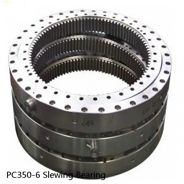 PC350-6 Slewing Bearing