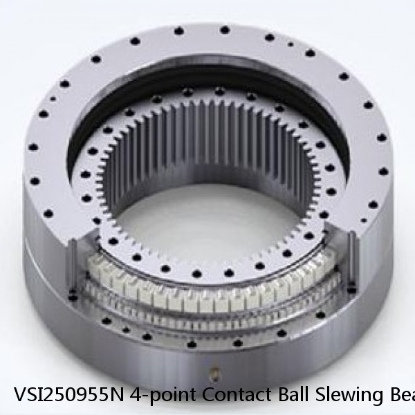 VSI250955N 4-point Contact Ball Slewing Bearing