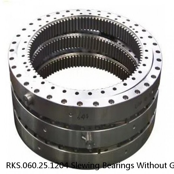 RKS.060.25.1204 Slewing Bearings Without Gear Teeth