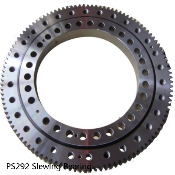 PS292 Slewing Bearing