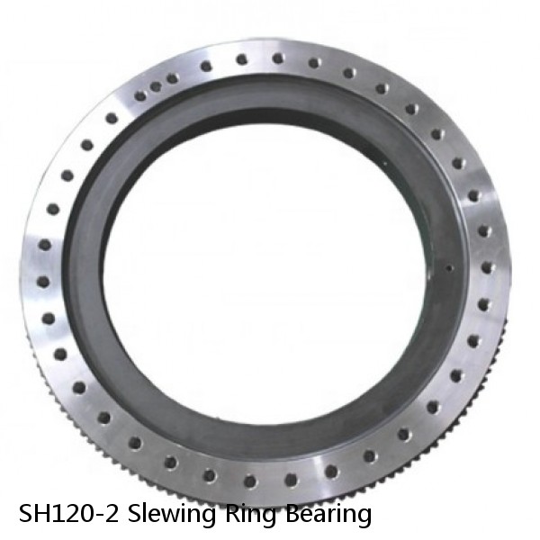 SH120-2 Slewing Ring Bearing